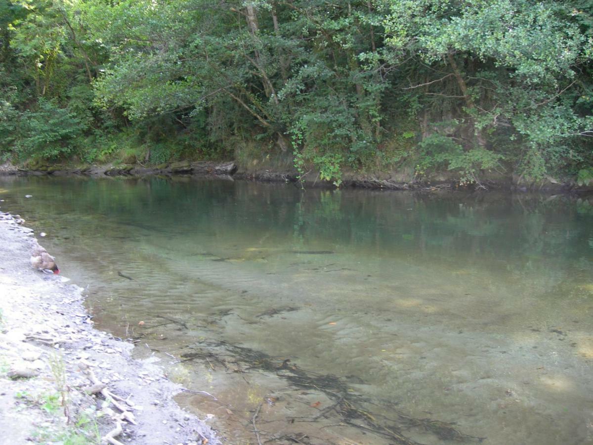 Luzenac Appartement Les Rives De L'Ariege מראה חיצוני תמונה