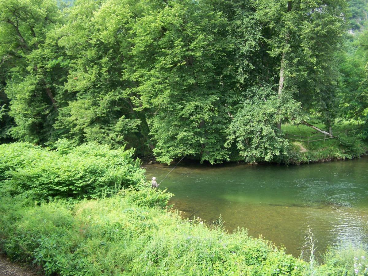 Luzenac Appartement Les Rives De L'Ariege מראה חיצוני תמונה